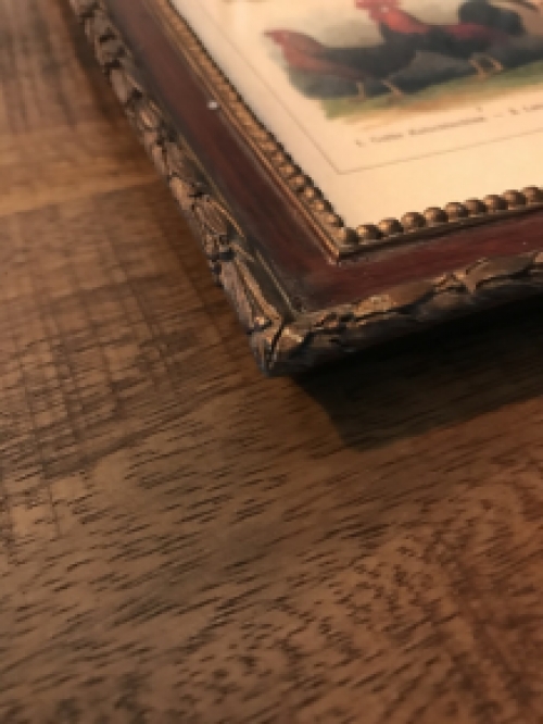 Een wandtekening met haansoorten, met houten omlijsting - ''Bibliographisches Institut in Leipzig''