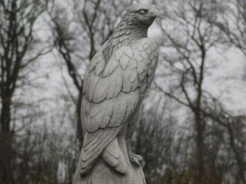 Stone goshawk - White with Grey - Animal sculpture