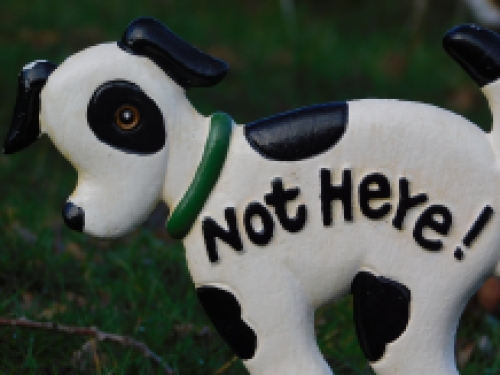 Hondenbordje ''Not Here'' - tuinsteker, gietijzer
