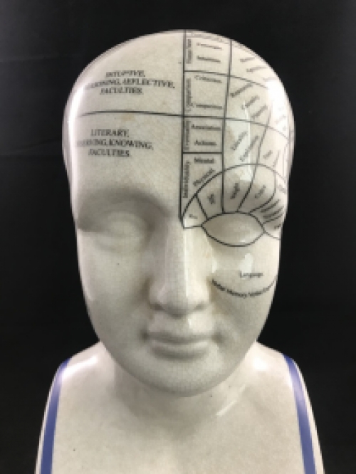A porcelain phrenology head in blue coloring
