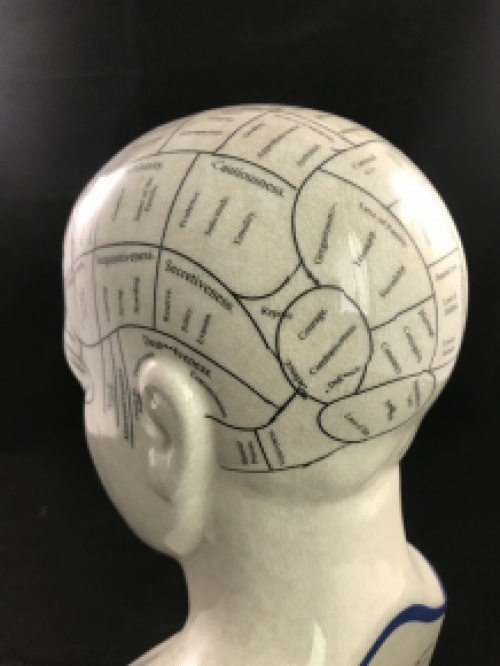 A porcelain phrenology head in blue coloring