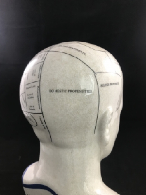 A porcelain phrenology head in blue coloring