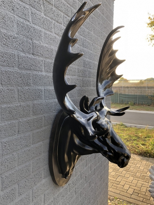 A beautiful and colossal head of a Scandinavian Elk, black.