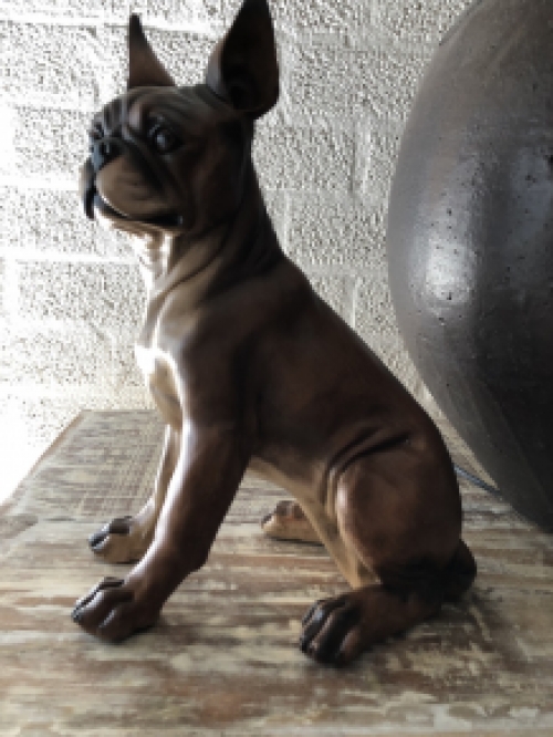 Franse bulldog model, craftwood-bruin zittend., LAATSTE!!