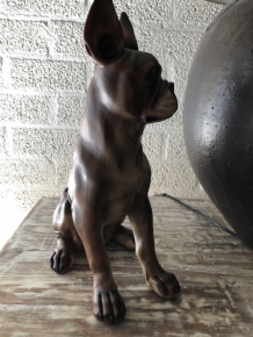 French bulldog model, craftwood-brown sitting., LAST!!