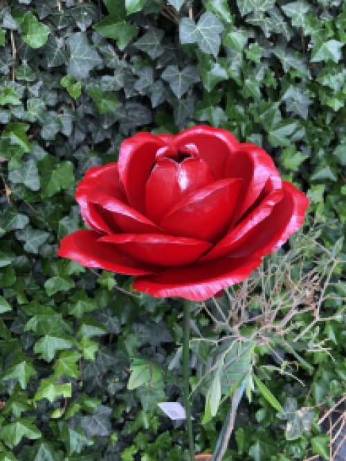 A work of art, this large rose made entirely of metal.