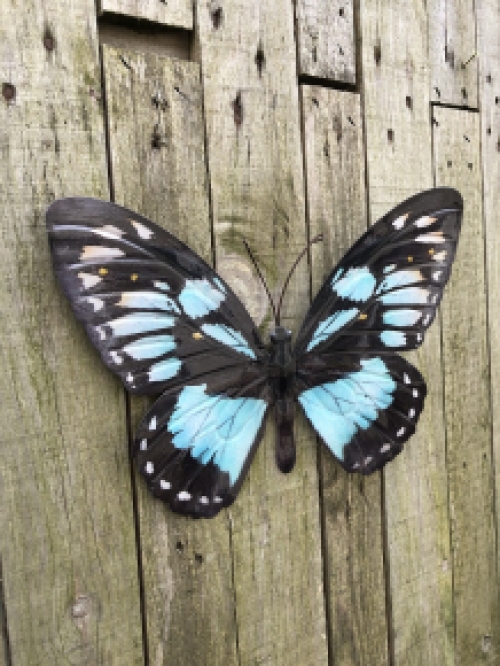 Butterfly, all metal and full blue-green black color.