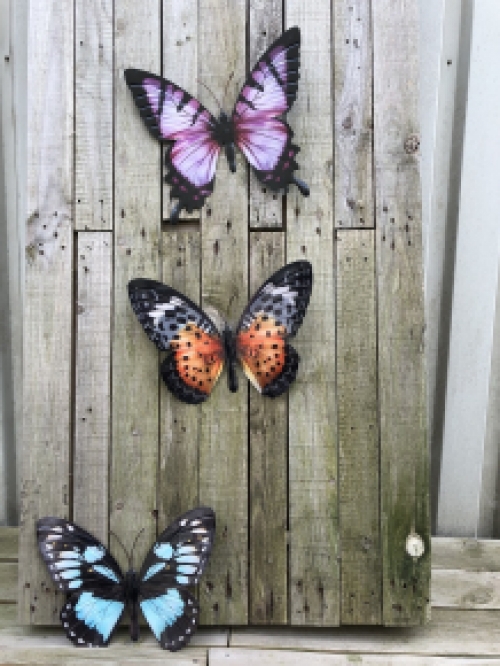 Set mit 3 Schmetterlingen, ganz aus Metall und voller Farbe, verschiedende Farben.