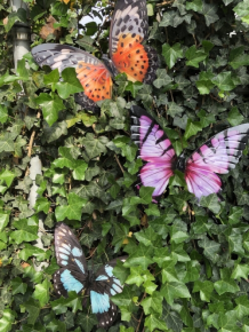 Butterfly, all metal and full blue-green black color.