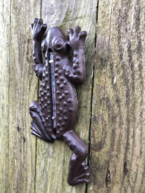 Frog as thermometer, outdoor thermometer as toad, country style