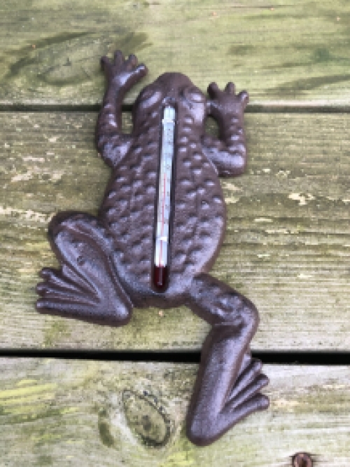 Frog as thermometer, outdoor thermometer as toad, country style