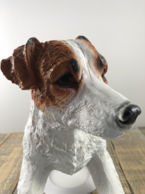 Mooi beeld van een Jack Russel, typisch speels beeld!!