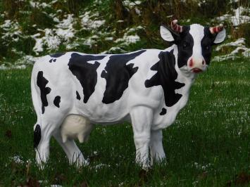 Cow with Horns - M - Polystone - Detailed