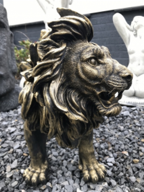 Beeld van een leeuw, mooi in detail, goud-zwart van kleur, polystein