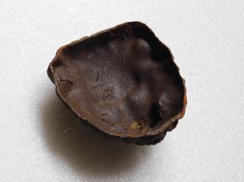 Leeuwenkop - Wateruitloop - 20 cm - Gietijzer