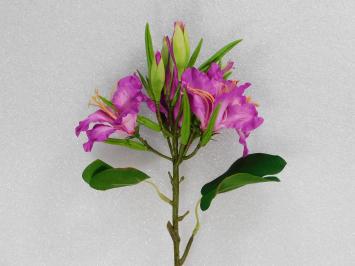 Artificial flower Lily Branch - Purple - 74 cm