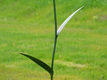 Handgefertigte Lilie - Gartenstab 125 cm - Metall