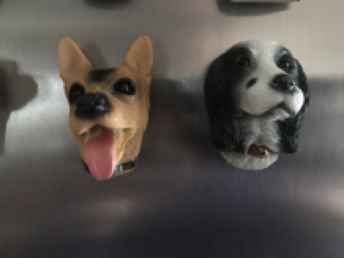 Fridge magnets, 12 dogs as a nice decoration