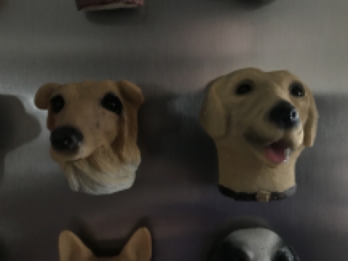 Fridge magnets, 12 dogs as a nice decoration