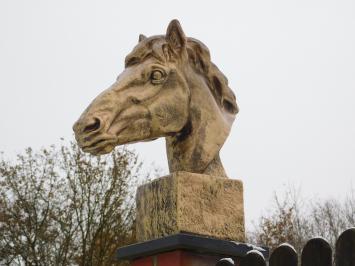 One-off: XL Polystone Horse Head - Gold coloured 