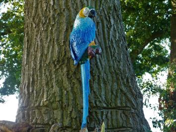 Blauer Papagei XL - Gusseisen - Bunte Wanddekoration