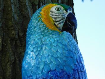 Blauer Papagei XL - Gusseisen - Bunte Wanddekoration