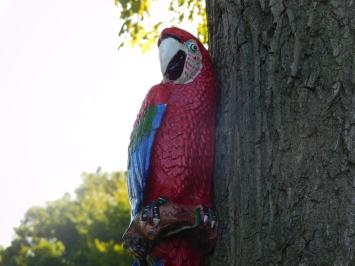 Roter Papagei XL - Gusseisen - Bunte Wanddekoration