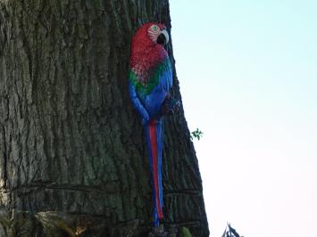 Red Parrot XL - Cast iron - Colourful Wall Decoration