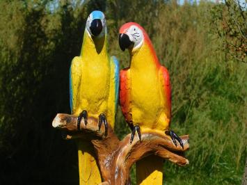 Statue Parrots on Stump - Polystone - Full in Colour