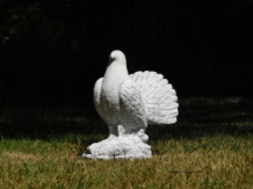 Statue of a peacock pigeon - solid stone