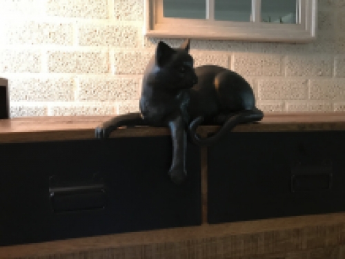 1 sculptuur liggende kat uit Polystein, mooi!!