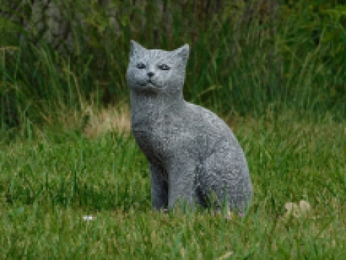 Poes van steen - gedetailleerd - grijs