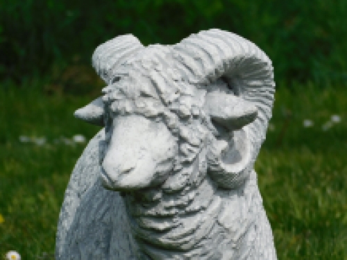 Statue Ram XL - solid stone