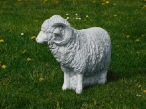 Statue Ram XL - solid stone