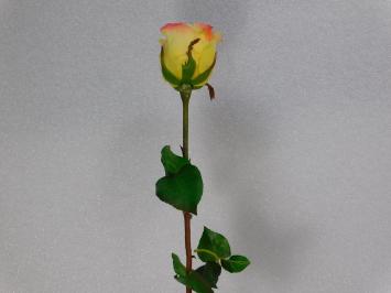 Artificial flower Rose Steel - Yellow - 71 cm