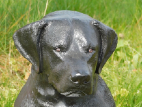 Beautiful ''Rottweiler'' black/white - from Polystone