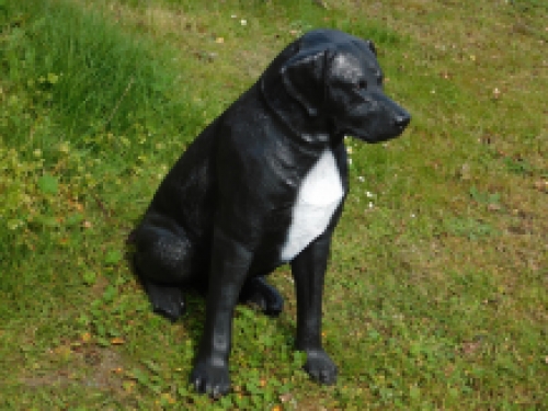 Beautiful ''Rottweiler'' black/white - from Polystone