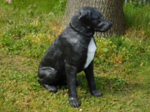 Prachtige ''Rottweiler'' zwart/wit - van Polystone