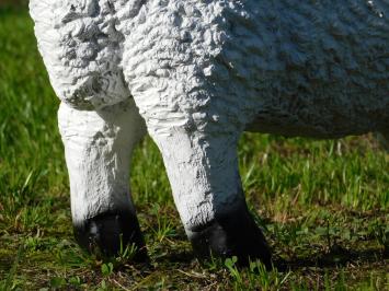 Beeld Schaap - 45 x 55 cm - Polystone