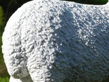 Beeld Schaap - 45 x 55 cm - Polystone