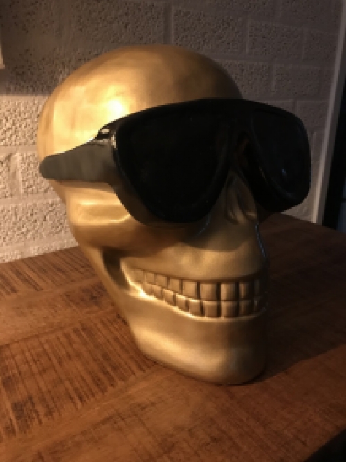 Leuk en bijzonder beeld van een schedel met bril, polystone