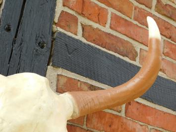 Grote Stierenschedel - 70 cm - Polystone