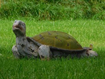 Statue Turtle XL - Polystone - Vintage Look