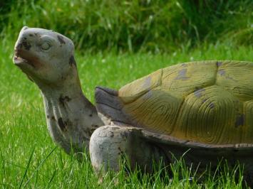 Statue Turtle XL - Polystone - Vintage Look