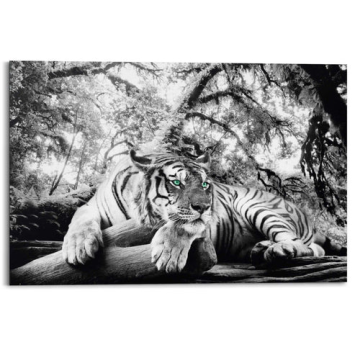 Painting Tiger - 90 x 60 - Black and white