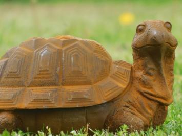 Beeld Schildpad van gietijzer - gedetailleerd