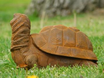 Beeld Schildpad van gietijzer - gedetailleerd