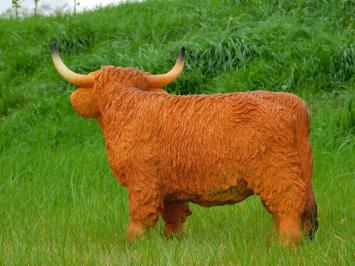 Scottish Highlander - 60 cm - Polystone