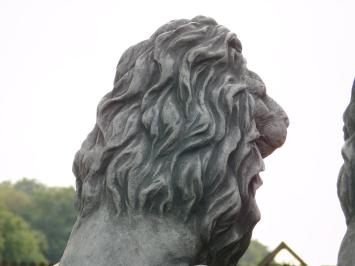 Set Lions - Grey - Solid Stone