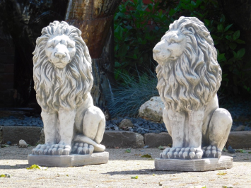 Lions Set – Left & Right – Solid Stone
